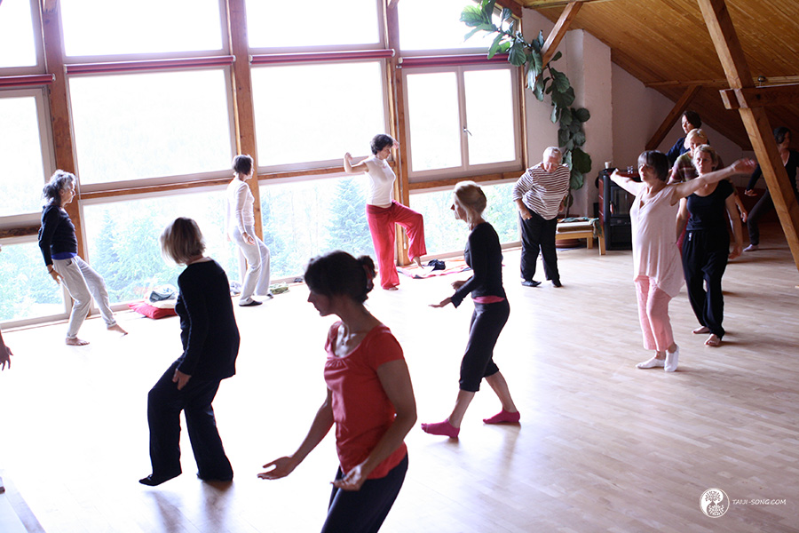 cours-Taiji Photo d'un cours de Tai Ji