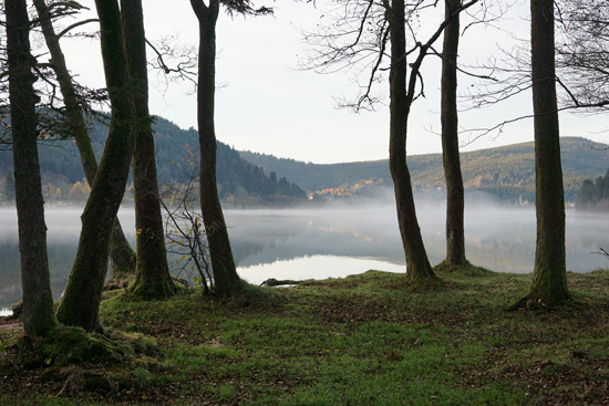 shen-lac2 Shen lac 2