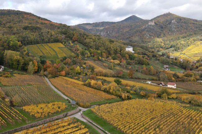 Alsace